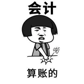 成都如易财税公司