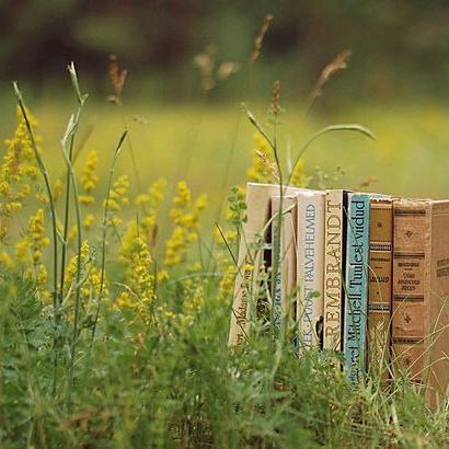 曼妙时光，大道至简