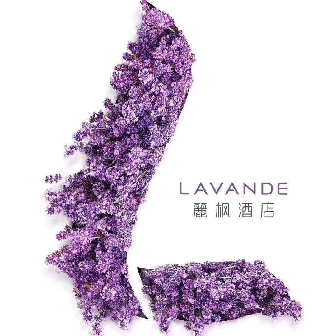 麗枫酒店吉安永新步步高时代广场店