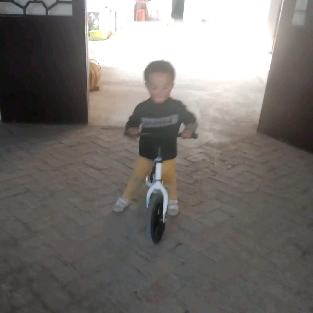 陕西老哥