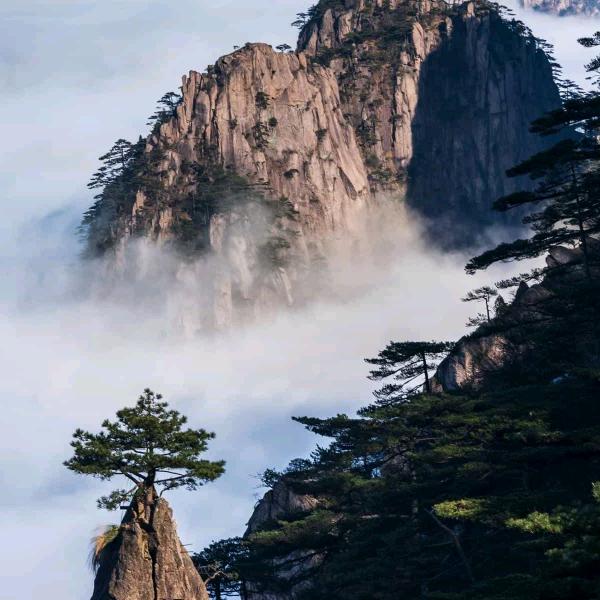 浮生醉清风