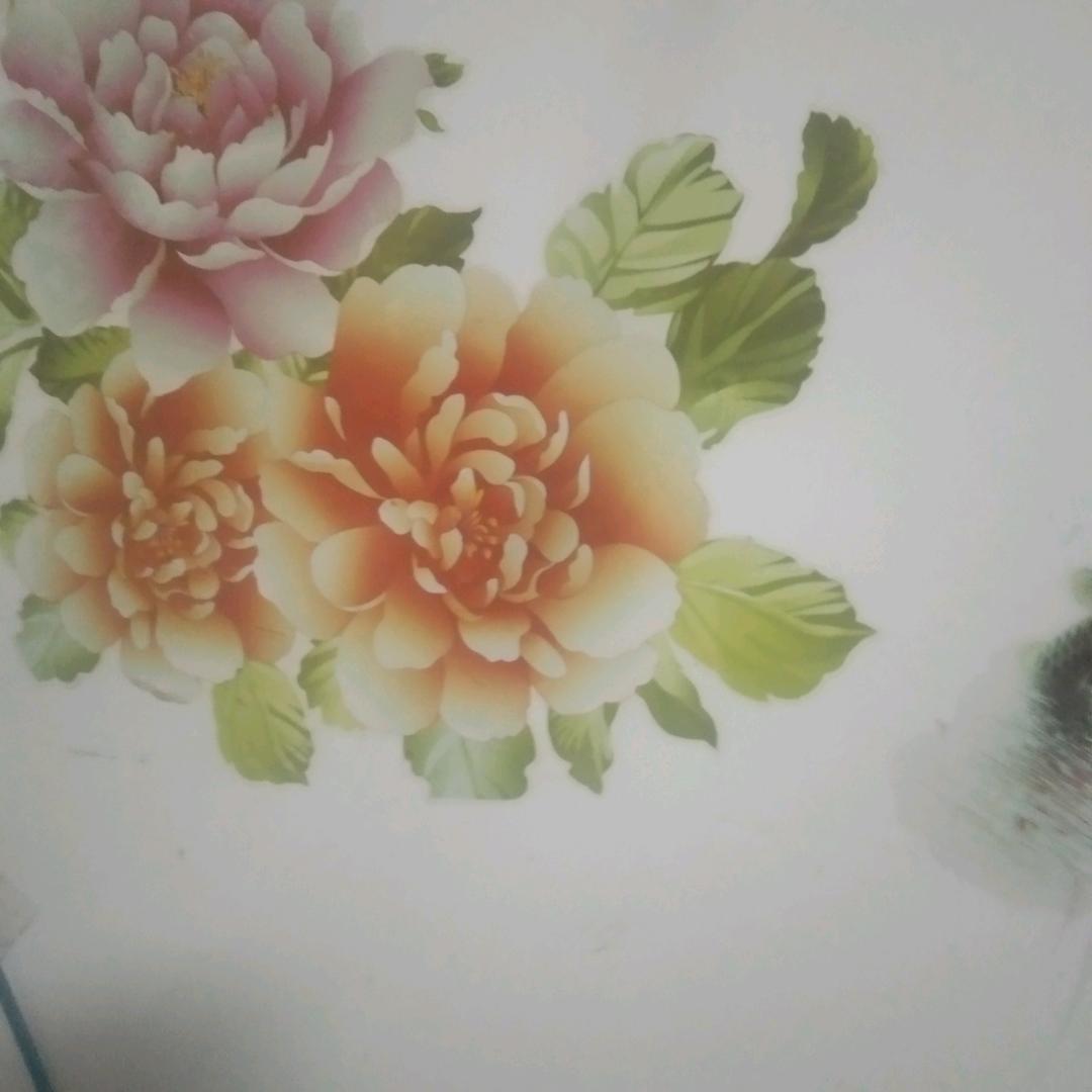 阳葱姜蒜