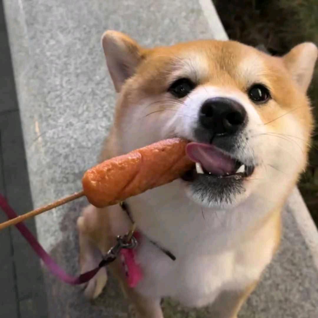 吃不饱的周大明