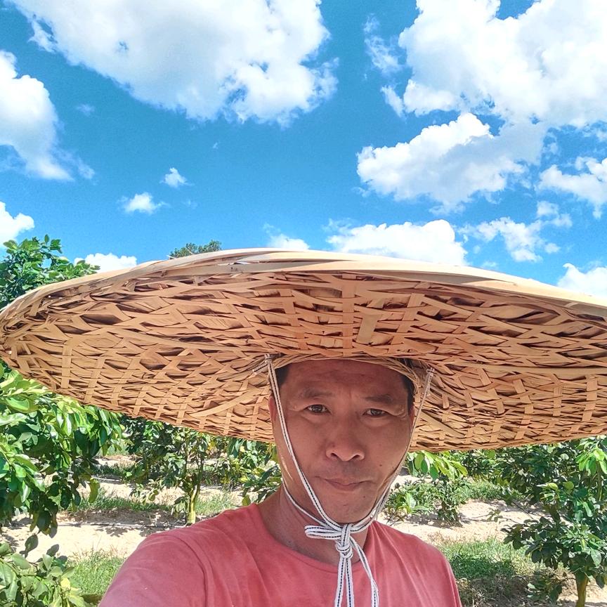 植言植语
