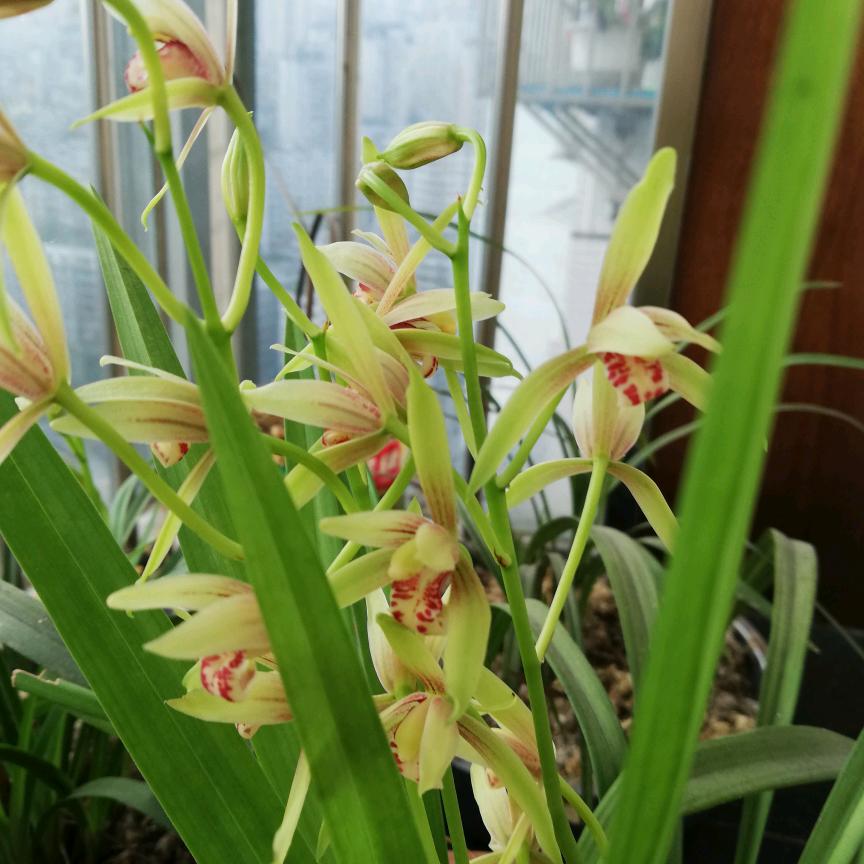 做好自己🌾🍂