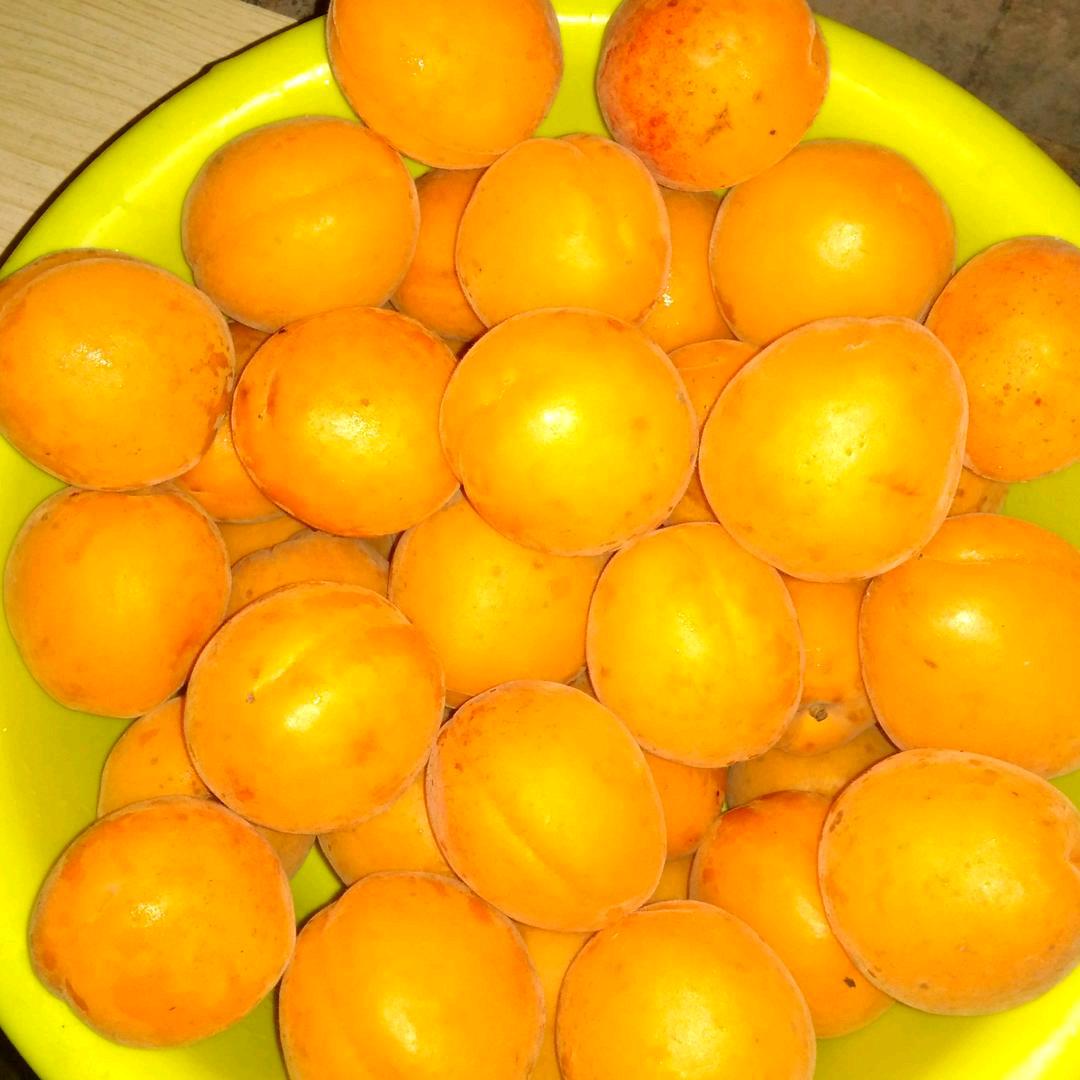 🌹🐓美好人生🐂🌺