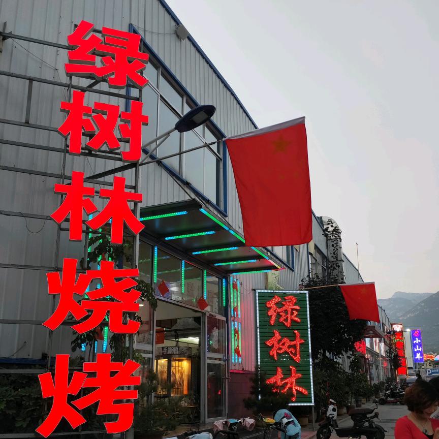 泰安市绿树林烧烤园