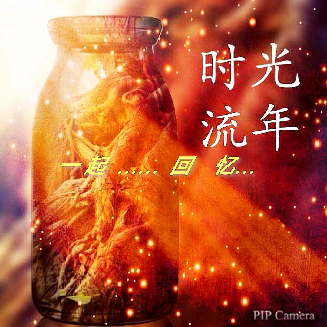 我是老歌