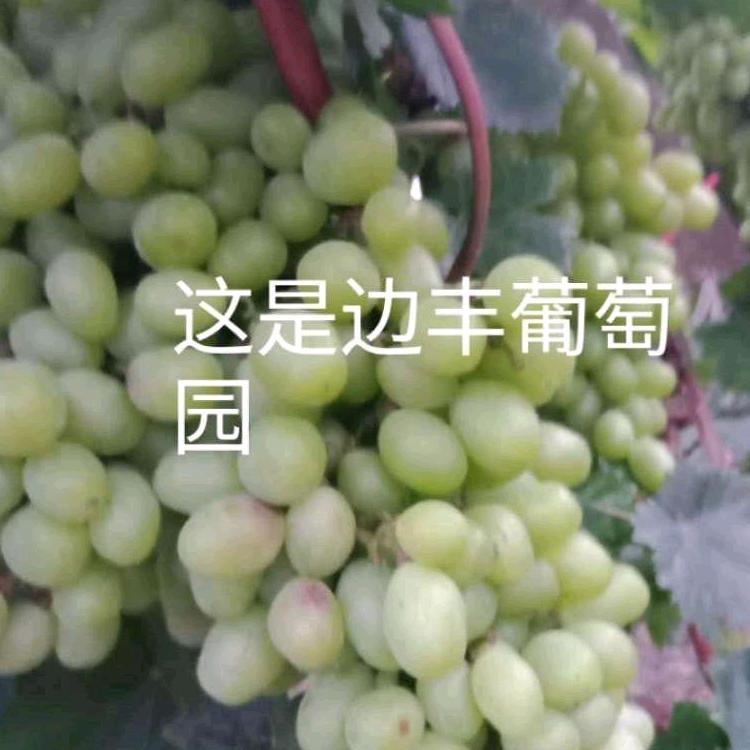 龙来科技园