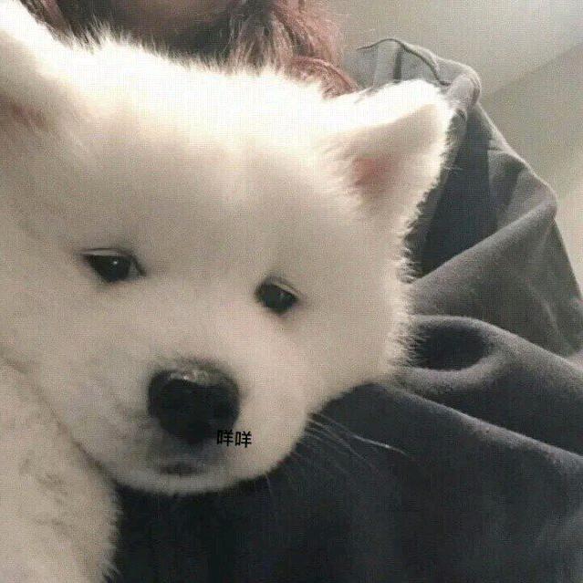 你喜欢吃沙茶面吗