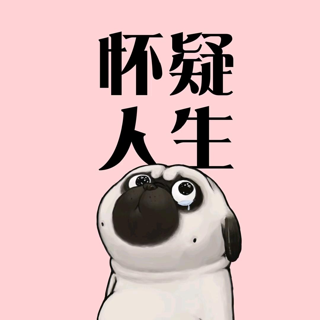 等风来🥶