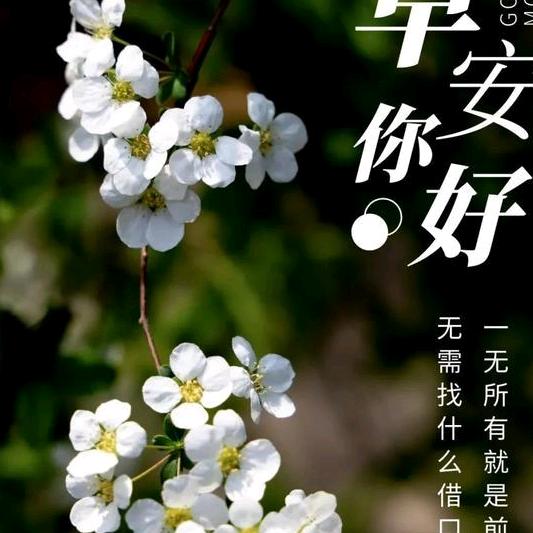 晓刚（8026）