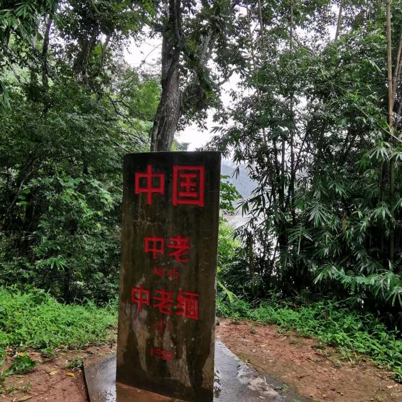 时光浮夸，乱了遍地流年