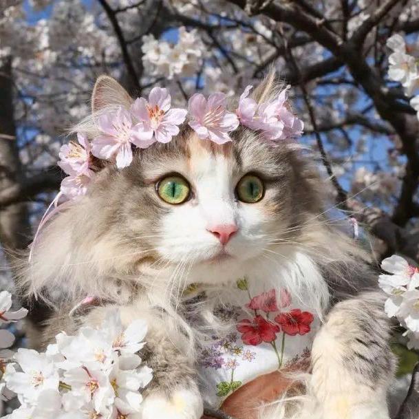 无心锁欣💭 事假中