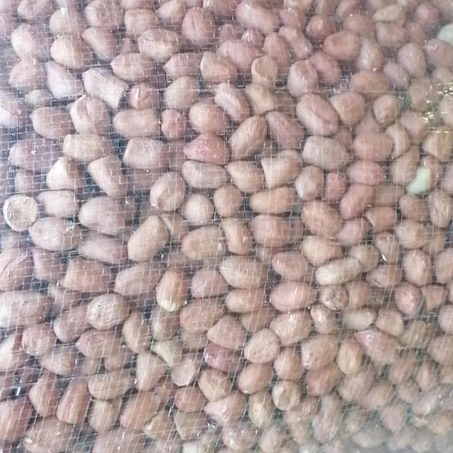 冯-三要花生米厂