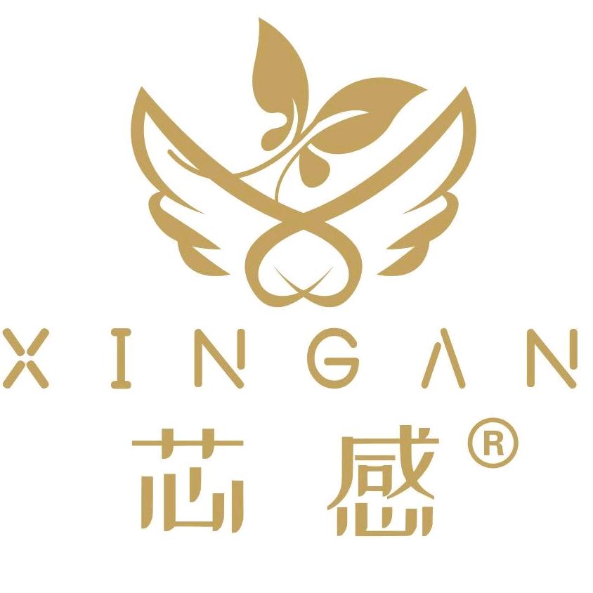 芯感汕头市芯感内衣有限公司内衣专卖店