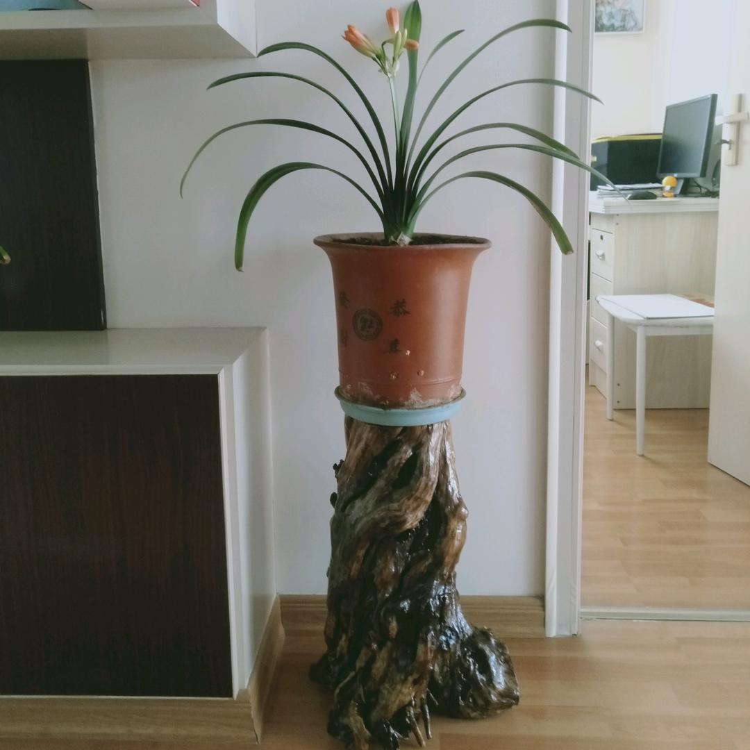 福盛节能头像