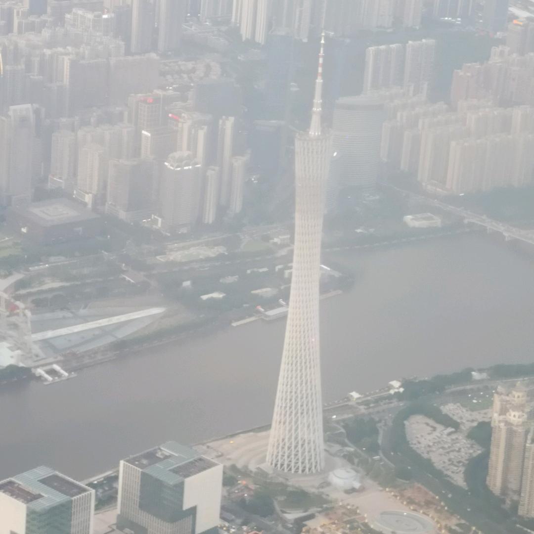 @领头杨