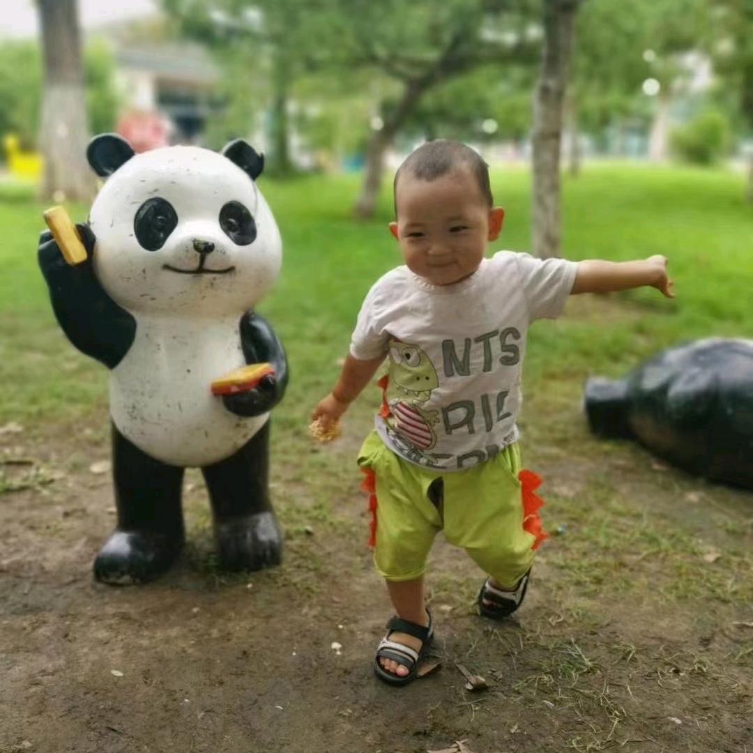 手机摄影  创业