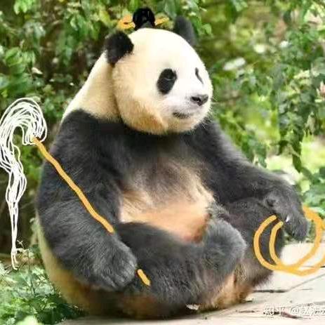 北山有诀明