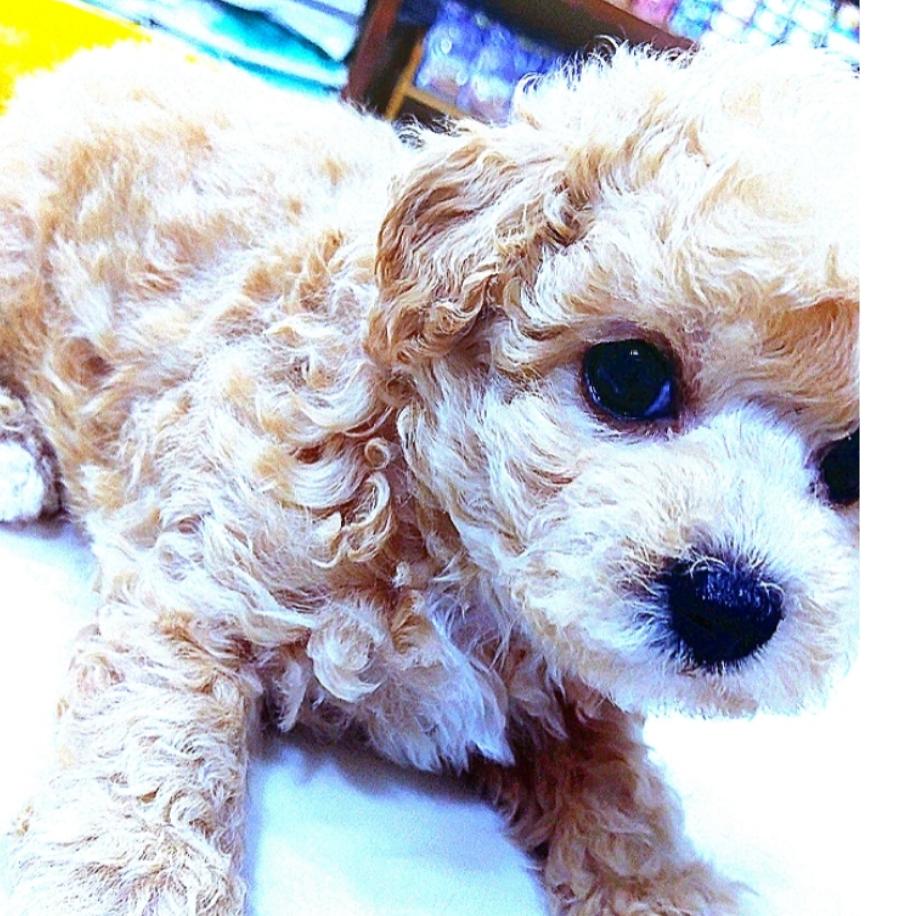 君⚡️