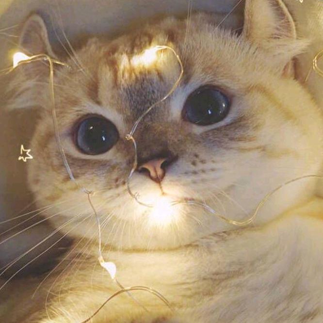一生平安。