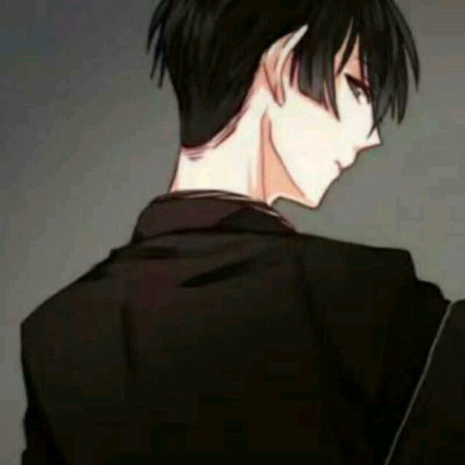 落辰ㅤ
