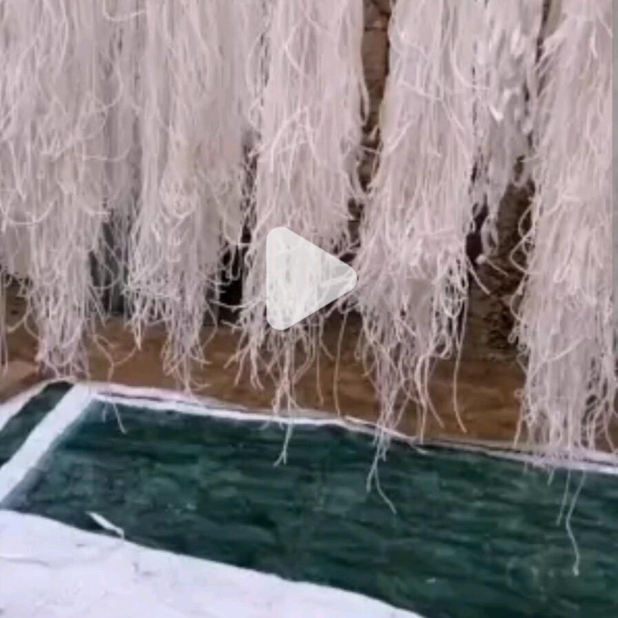 震湖粉条A号