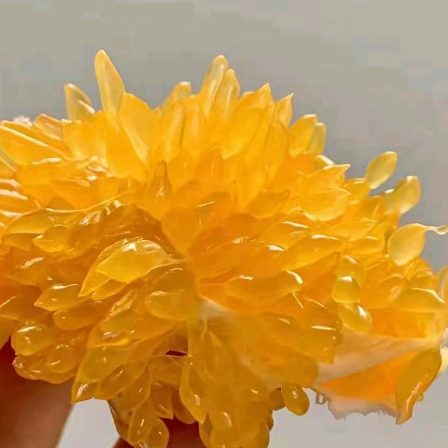 𤆵𤆵柑正名行动