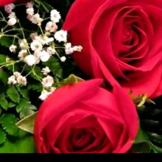 感恩🌹🌹