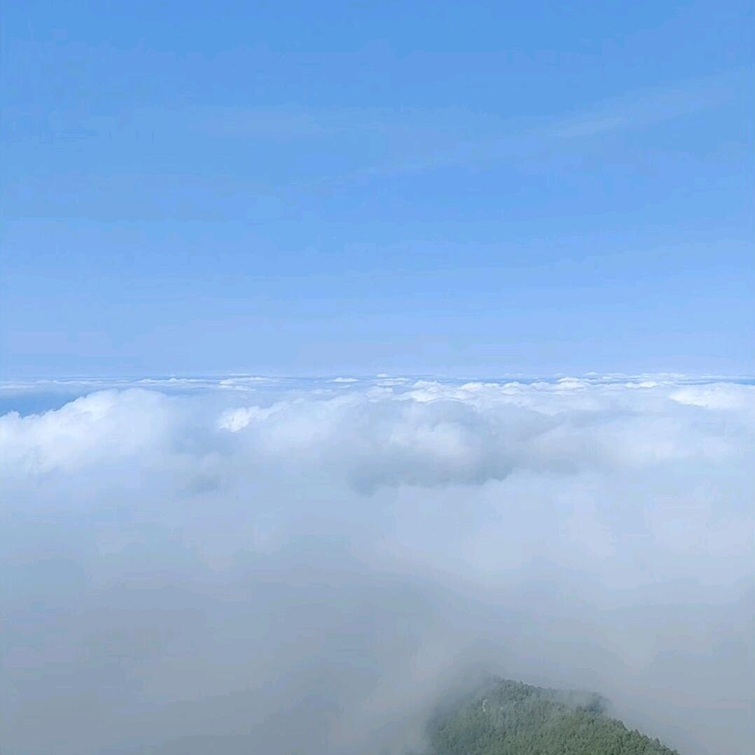 庄周晓梦
