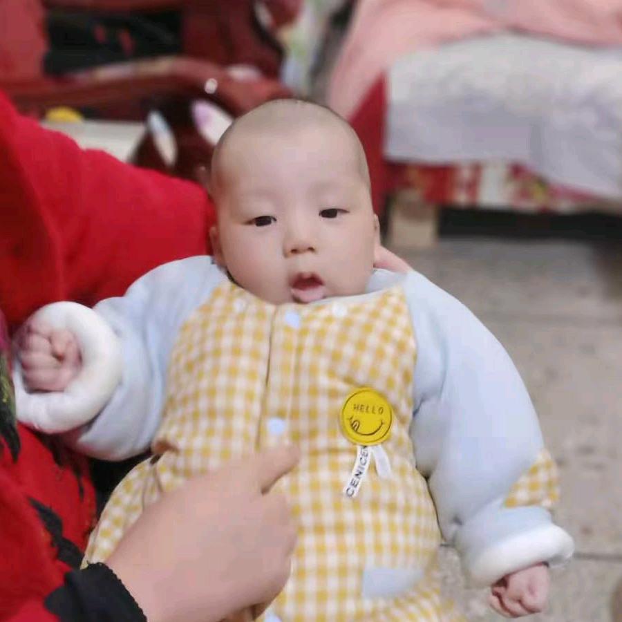 枫林@