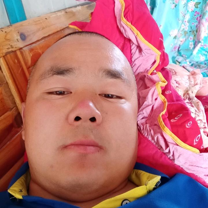建新，佳通，千里马，贵州劲虎轮胎