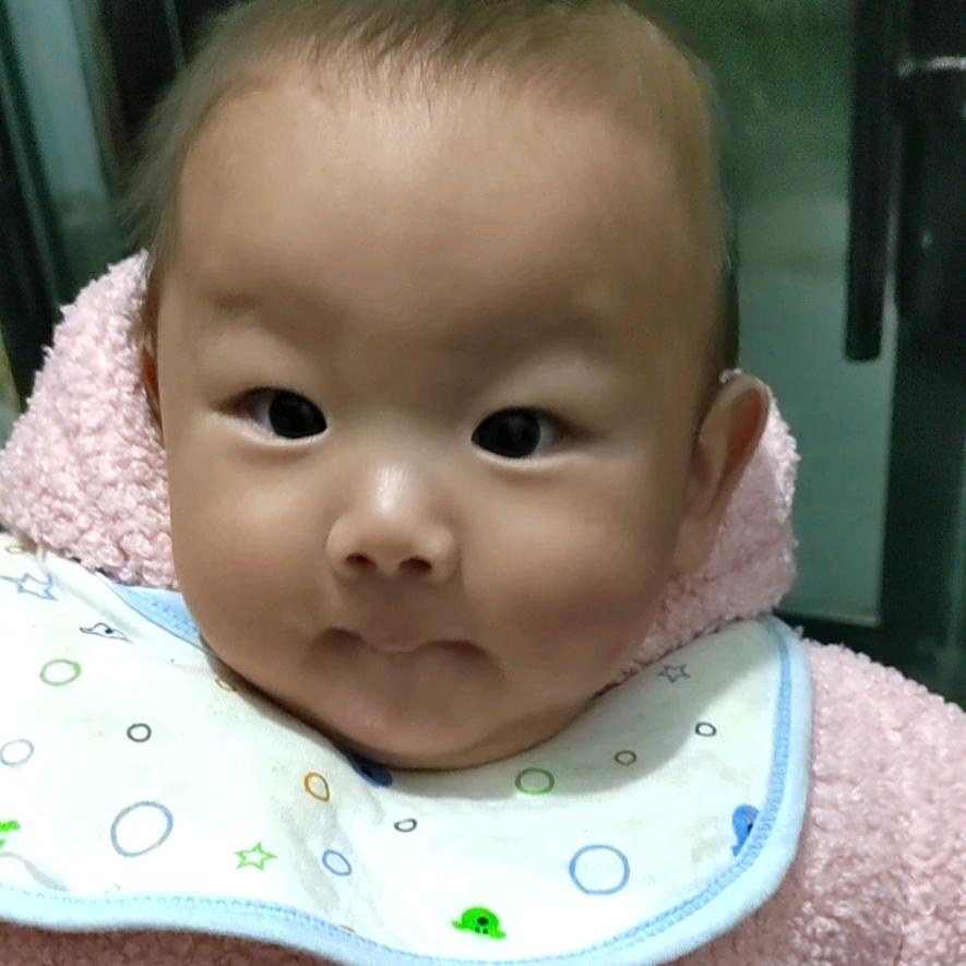是麦多吖