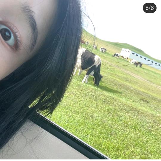 一颗小苹果