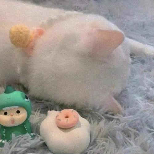 ☽