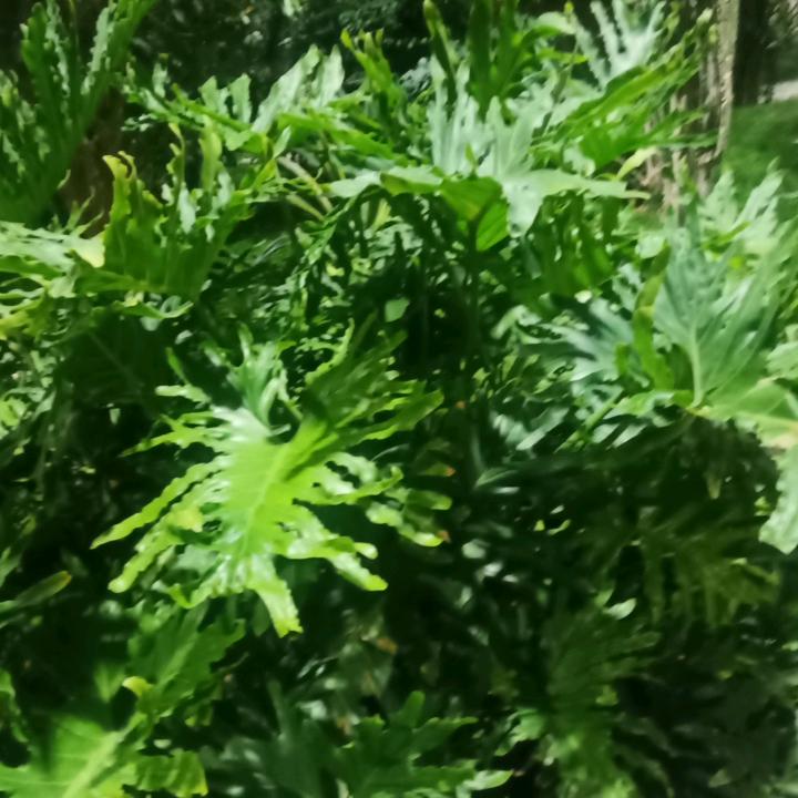 笑过的人生