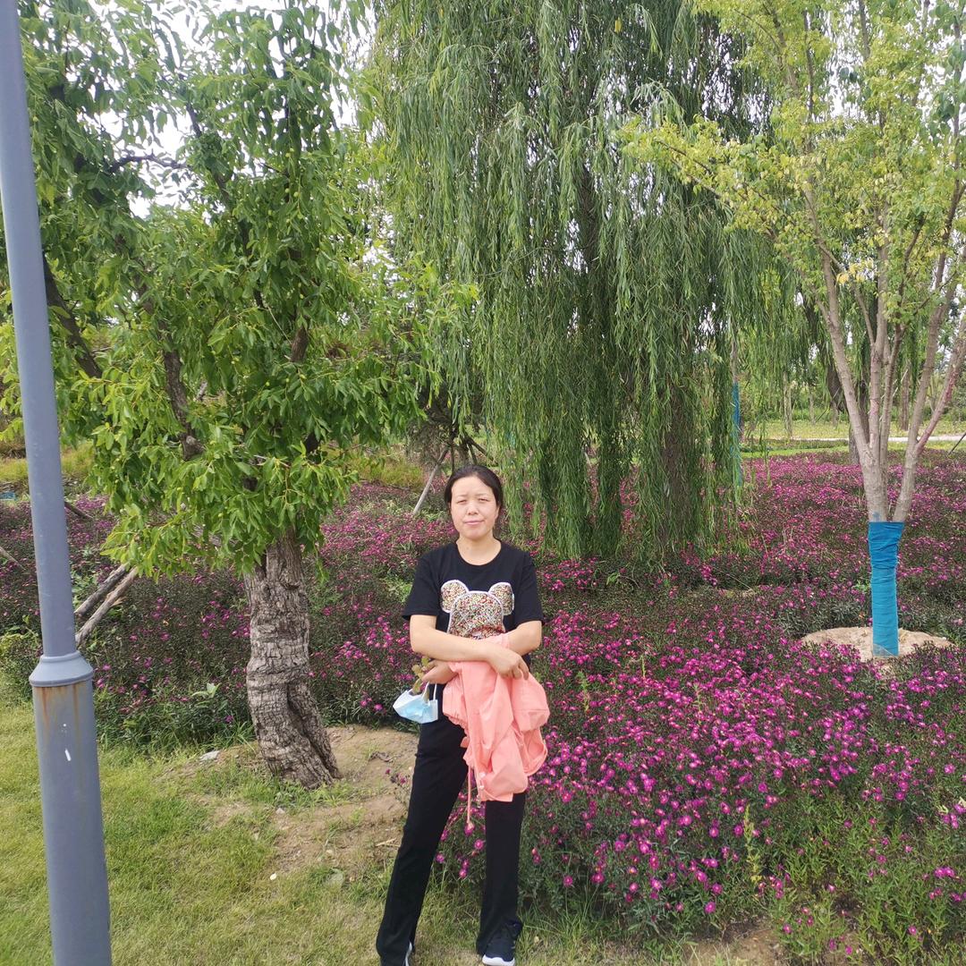 快乐的杨杨
