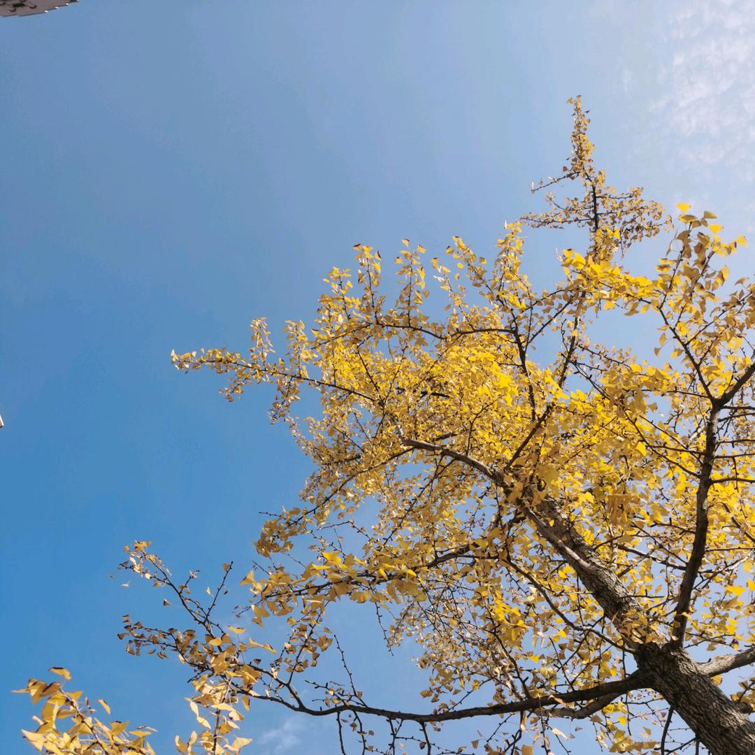 温宿县凯越图乐沙滩越野车俱乐部