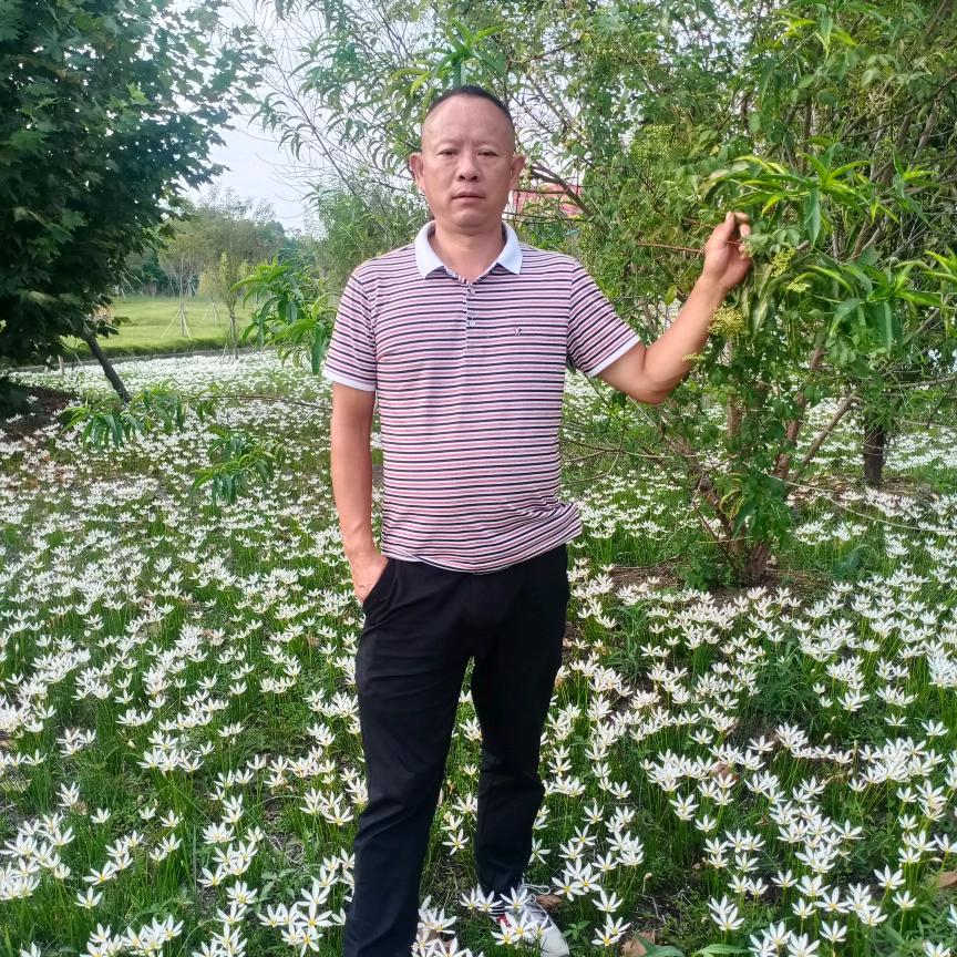 我是一个孤单人