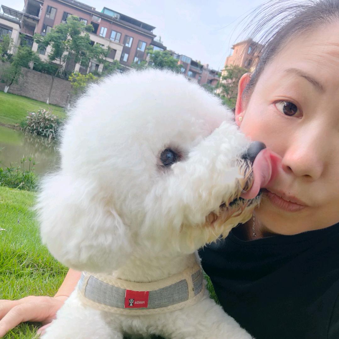 蚊子