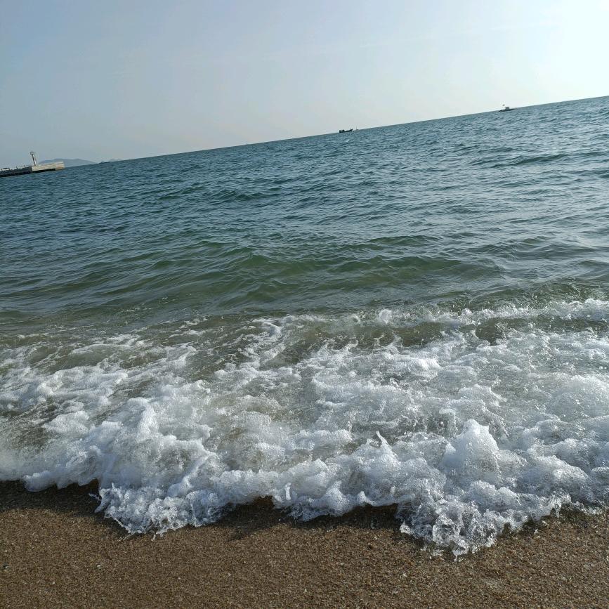 宣🎋🎋城🍀🍀