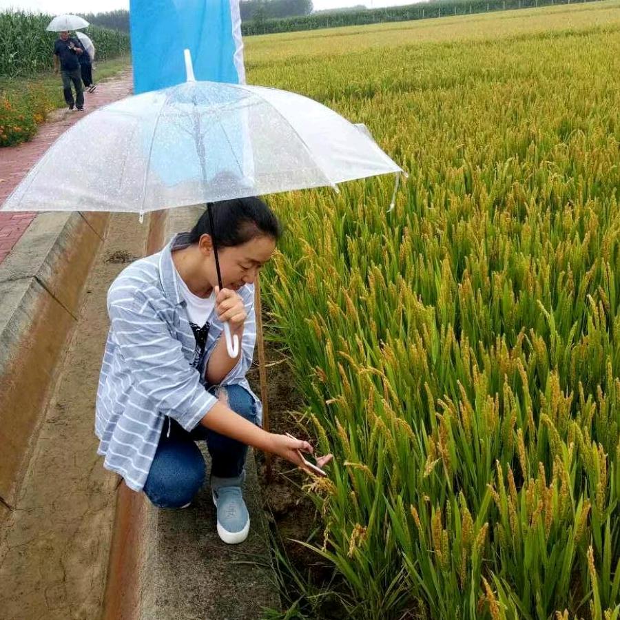 铁力田有种业（农资大市场47号厅）