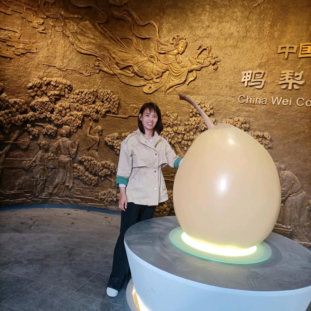 魏县鸭梨(丽丽自家果园)