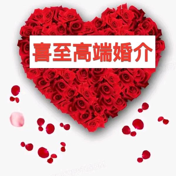 ❤喜至高端婚介❤