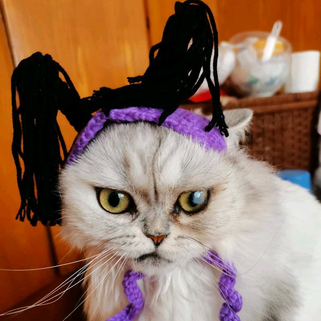 🌈侯大强是一只喵