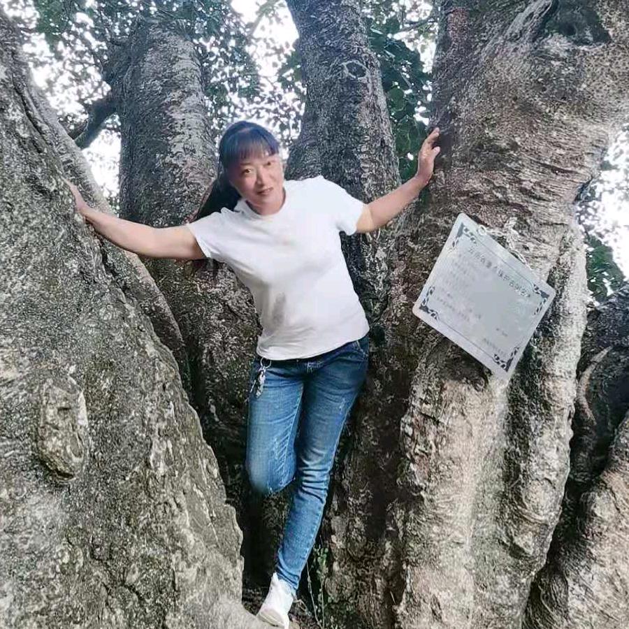 秋收乔木