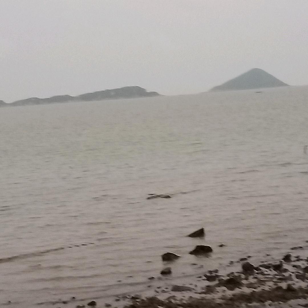 忍者自强
