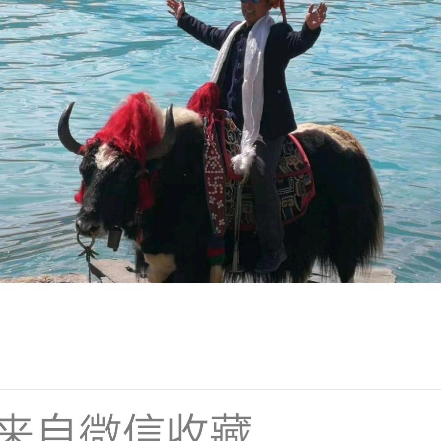 王老大