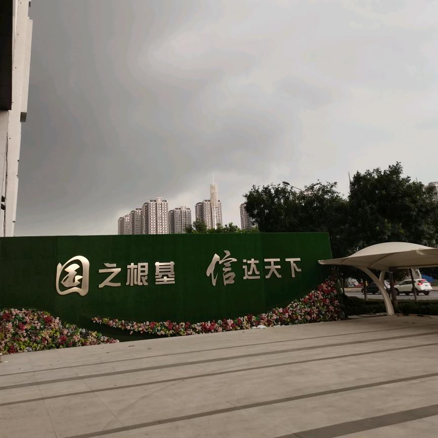飞龙猛将传